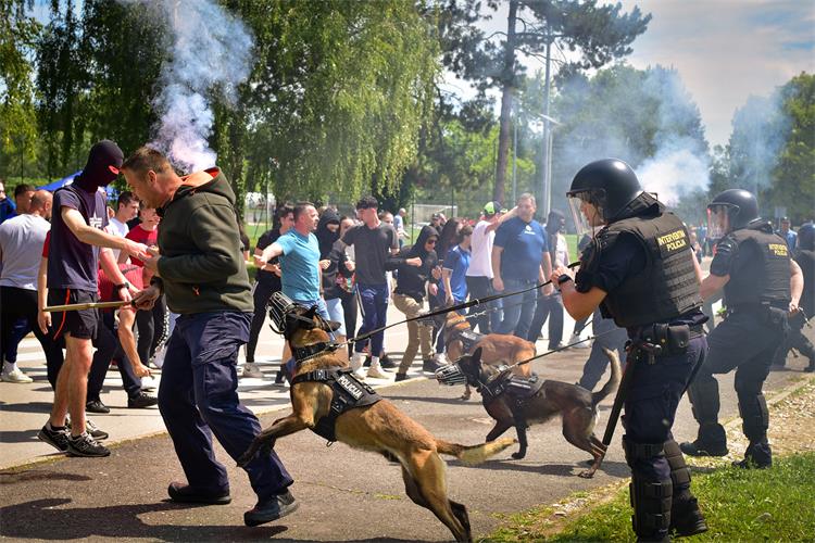 Slika /02_vijesti/2024/svibanj/DOV/2405 Dan otvorenih vrata_19.jpg